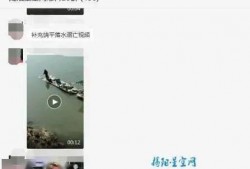 爆料男子溺亡视频,监控视频曝光惊心动魄一幕