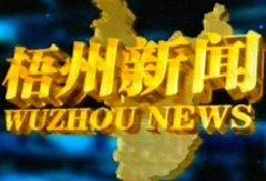 梧州电视台新闻爆料,某地违规操作引发关注