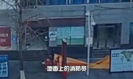 陇南都市爆料事件真相视频,揭秘真相背后的真相