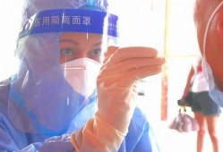 金星新一期爆料最新消息,揭秘娱乐圈惊人内幕！